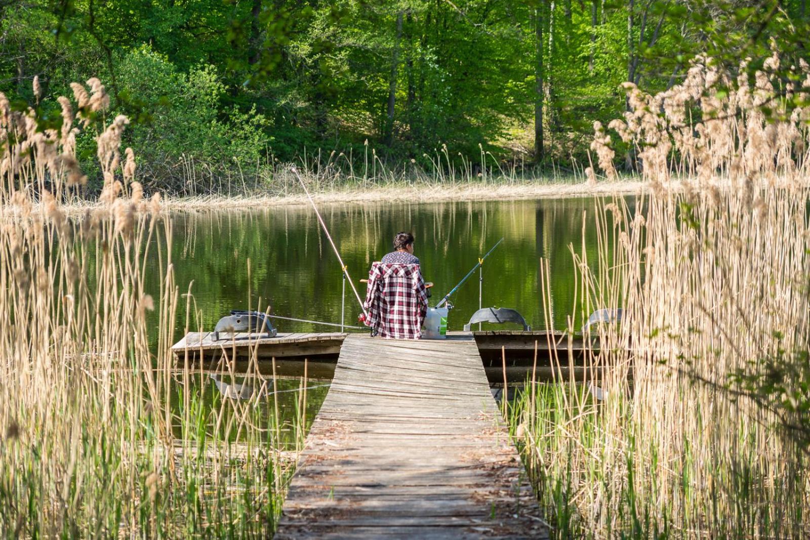 Osrodek Wypoczynkowy Camping Tumiany Экстерьер фото